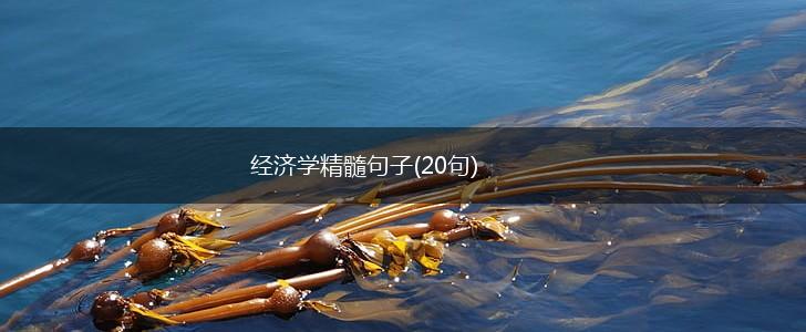 经济学精髓句子(20句),第1张