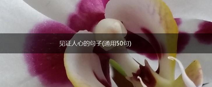 见证人心的句子(通用50句),第1张