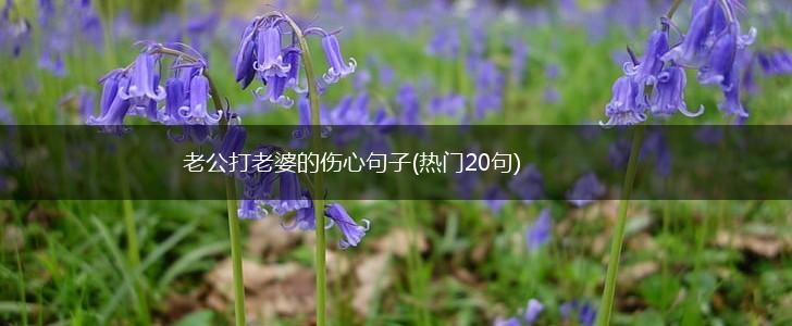 老公打老婆的伤心句子(热门20句),第1张