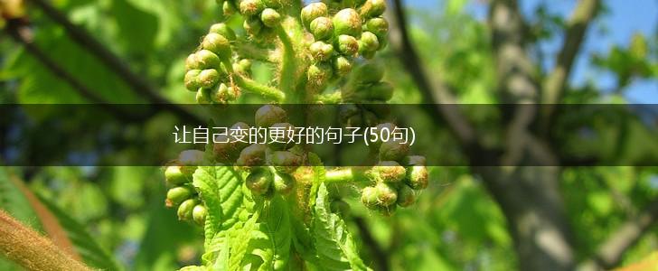 让自己变的更好的句子(50句),第1张