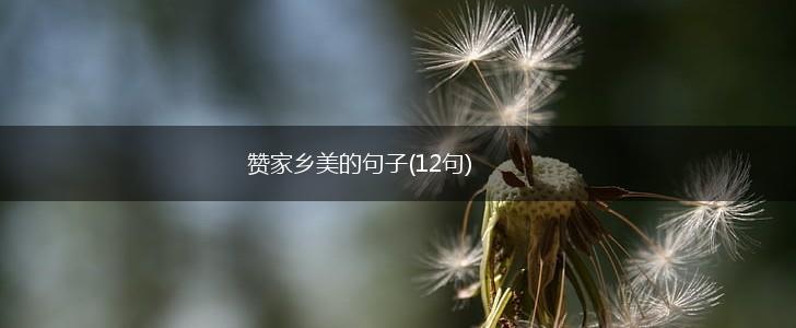 赞家乡美的句子(12句),第1张