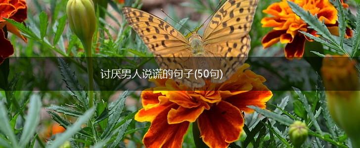 讨厌男人说谎的句子(50句),第1张