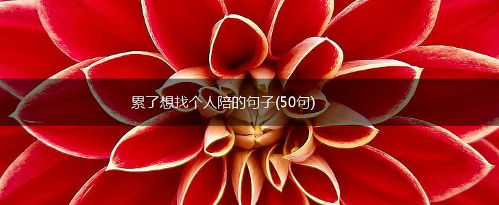 累了想找个人陪的句子(50句),第1张