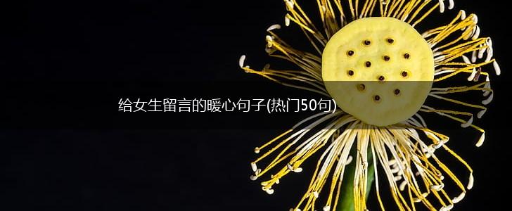给女生留言的暖心句子(热门50句),第1张