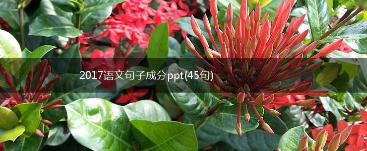 2017语文句子成分ppt(45句),第1张