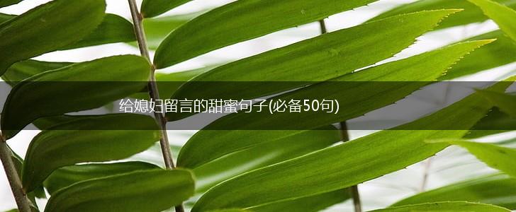 给媳妇留言的甜蜜句子(必备50句),第1张