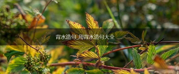 背水造句_用背水造句大全,第1张