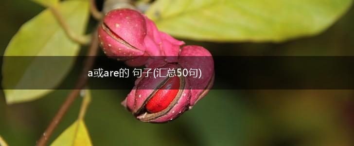 a或are的 句子(汇总50句),第1张