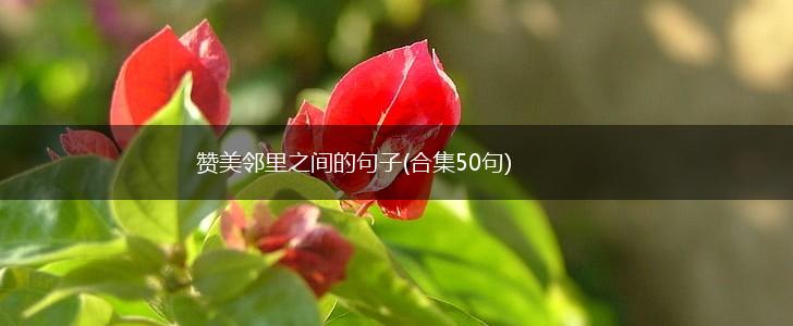 赞美邻里之间的句子(合集50句),第1张