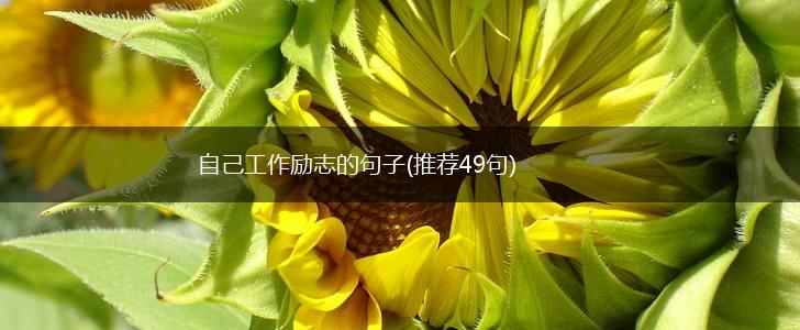 自己工作励志的句子(推荐49句),第1张