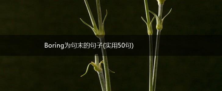 Boring为句末的句子(实用50句),第1张