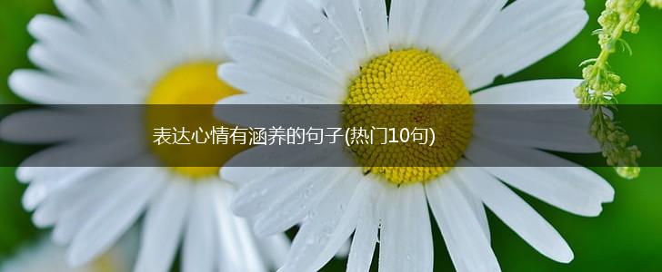 表达心情有涵养的句子(热门10句),第1张