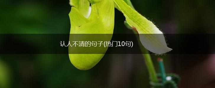 认人不清的句子(热门10句),第1张