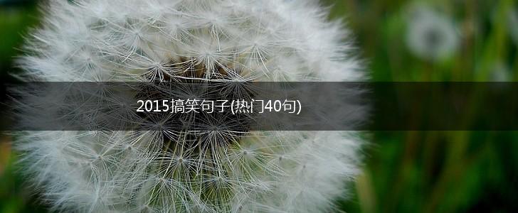 2015搞笑句子(热门40句),第1张