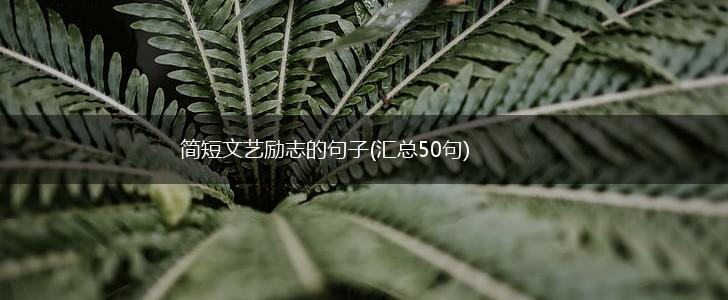 简短文艺励志的句子(汇总50句),第1张