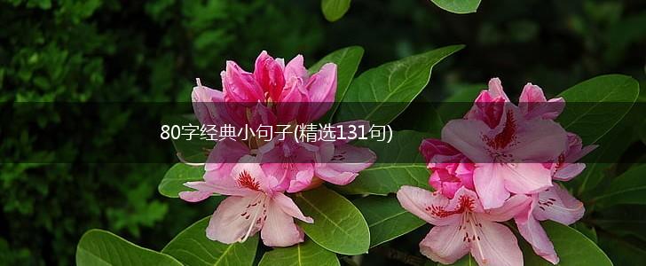 80字经典小句子(精选131句),第1张