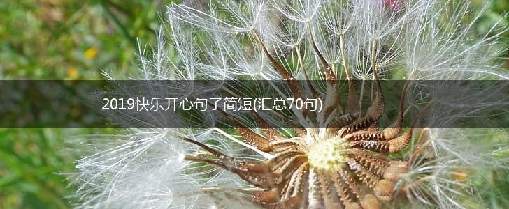 2019快乐开心句子简短(汇总70句),第1张