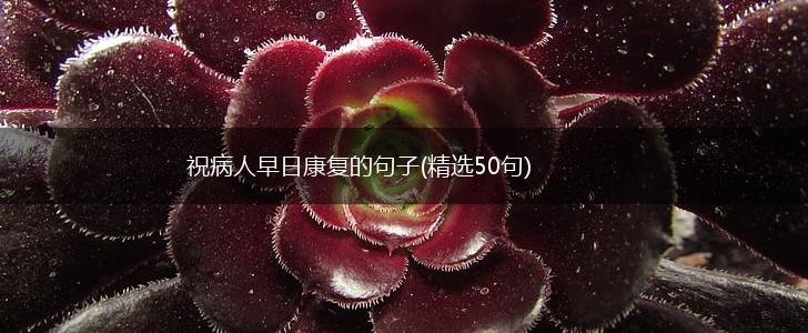 祝病人早日康复的句子(精选50句),第1张