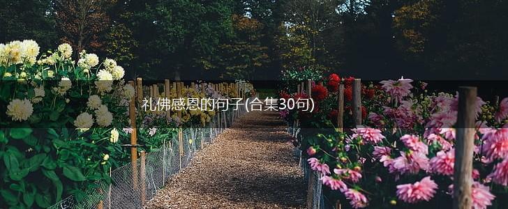 礼佛感恩的句子(合集30句),第1张
