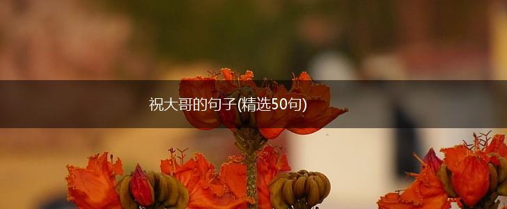 祝大哥的句子(精选50句),第1张