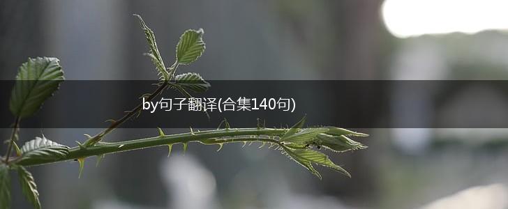 by句子翻译(合集140句),第1张