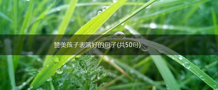 赞美孩子表演好的句子(共50句),第1张