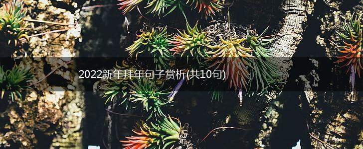 2022新年拜年句子赏析(共10句),第1张