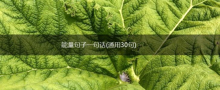 能量句子一句话(通用30句),第1张