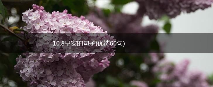 10.8早安的句子(优选60句),第1张
