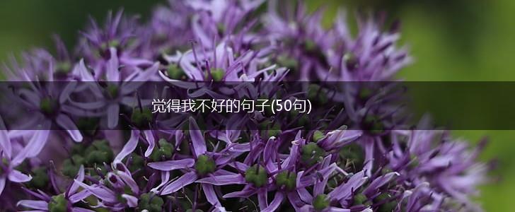 觉得我不好的句子(50句),第1张