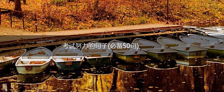 考试努力的句子(必备50句),第1张
