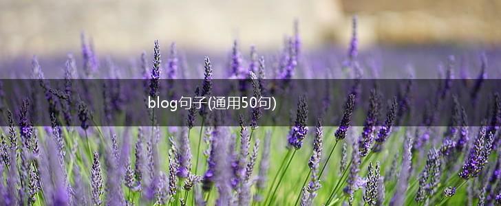 blog句子(通用50句),第1张