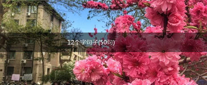 12个字句子(50句),第1张