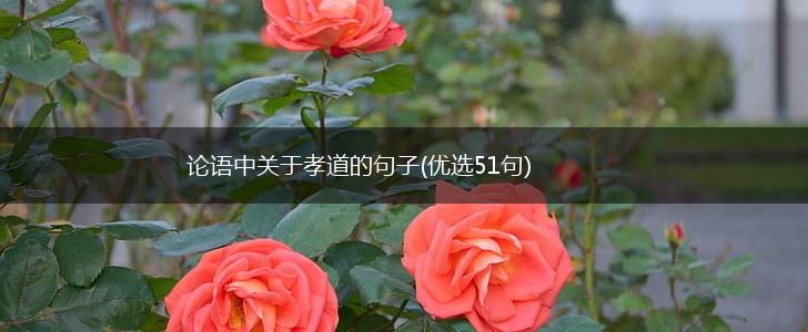 论语中关于孝道的句子(优选51句),第1张