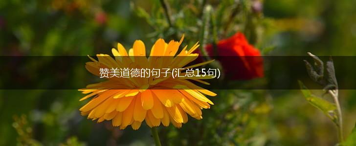 赞美道德的句子(汇总15句),第1张