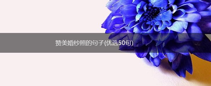 赞美婚纱照的句子(优选50句),第1张