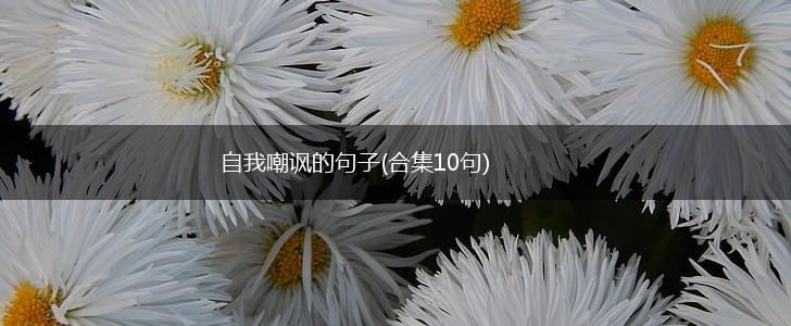 自我嘲讽的句子(合集10句),第1张