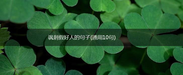 讽刺假好人的句子(通用10句),第1张