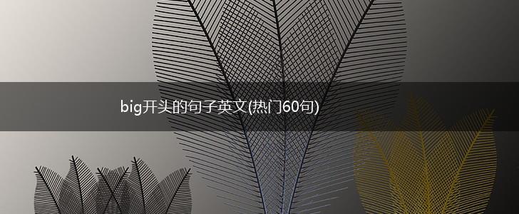 big开头的句子英文(热门60句),第1张