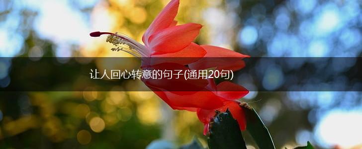 让人回心转意的句子(通用20句),第1张