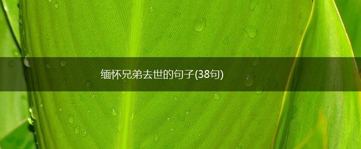 缅怀兄弟去世的句子(38句),第1张