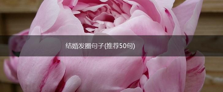 结婚发圈句子(推荐50句),第1张