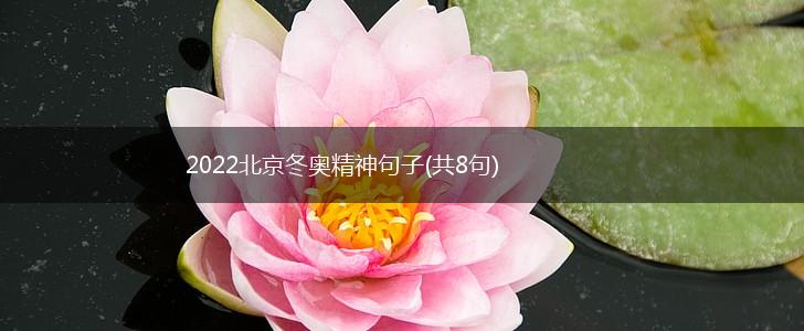 2022北京冬奥精神句子(共8句),第1张