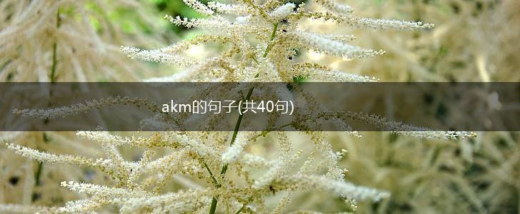 akm的句子(共40句),第1张