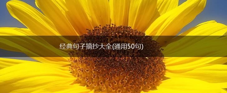 经典句子摘抄大全(通用50句),第1张