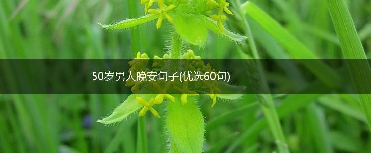50岁男人晚安句子(优选60句),第1张
