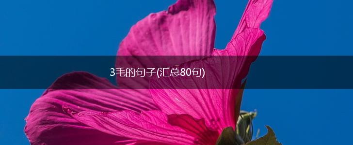 3毛的句子(汇总80句),第1张