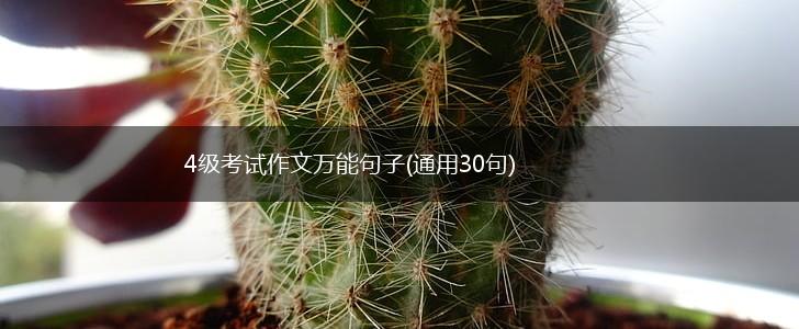 4级考试作文万能句子(通用30句),第1张