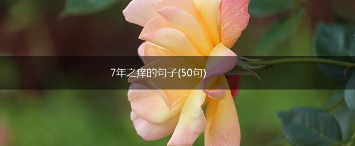 7年之痒的句子(50句),第1张