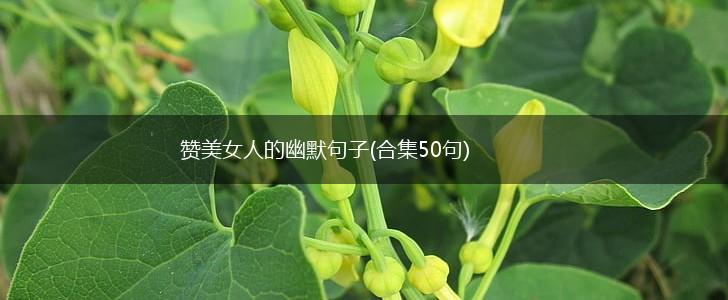 赞美女人的幽默句子(合集50句),第1张